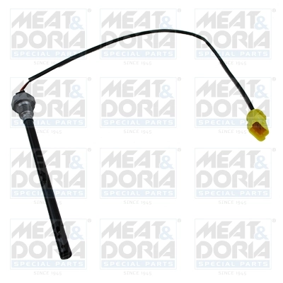 Sensor, engine oil level